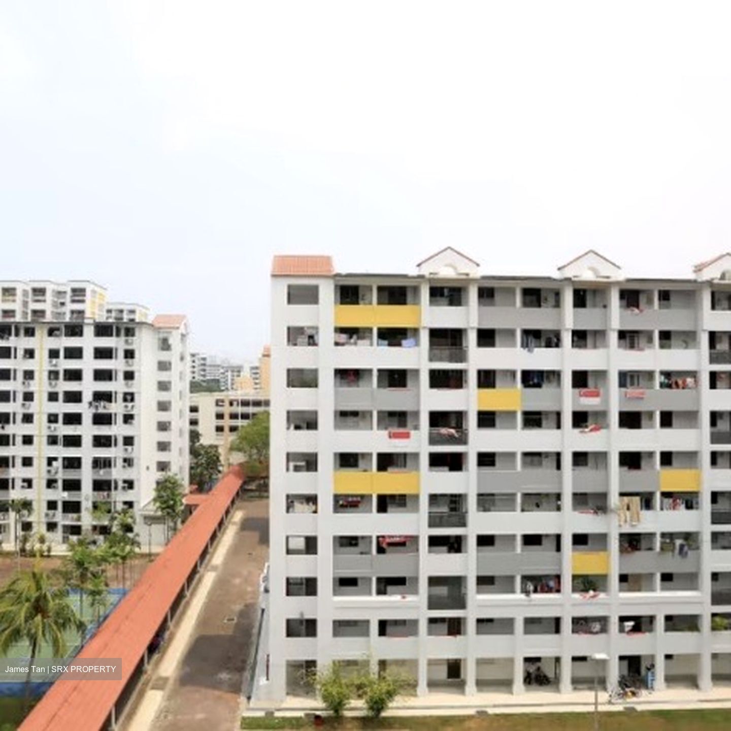 Blk 5 Ghim Moh Road (Queenstown), HDB 3 Rooms #554119171